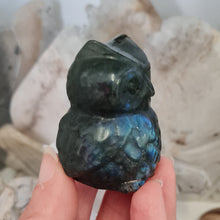Load image into Gallery viewer, Labradorite Owl