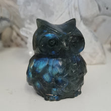 Load image into Gallery viewer, Labradorite Owl