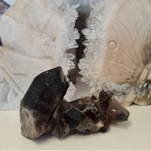 Load image into Gallery viewer, Smoky Quartz Cluster