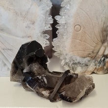 Load image into Gallery viewer, Smoky Quartz Cluster