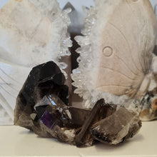 Load image into Gallery viewer, Smoky Quartz Cluster