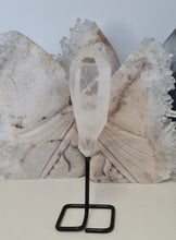 Load image into Gallery viewer, Clear Quartz Point on Stand