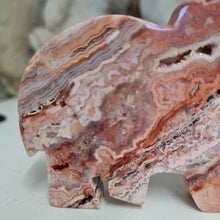 Load image into Gallery viewer, Pink Crazy Lace Agate Elephant
