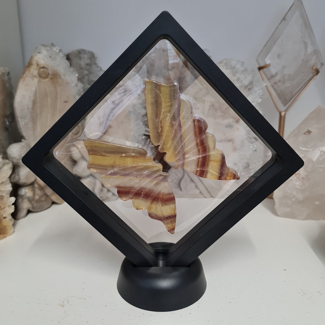 Yellow Fluorite Boxed Butterfly Wings