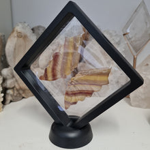 Load image into Gallery viewer, Yellow Fluorite Boxed Butterfly Wings
