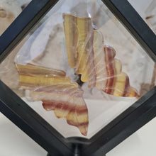 Load image into Gallery viewer, Yellow Fluorite Boxed Butterfly Wings
