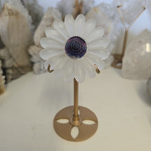 Load image into Gallery viewer, Selenite Daisies on Stand
