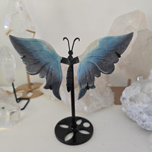 Load image into Gallery viewer, Trolleite Butterfly Wings
