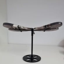 Load image into Gallery viewer, Black Flower Agate Dragonfly Wings
