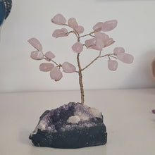 Load image into Gallery viewer, Rose Quartz on Amethyst Bonsai Tree
