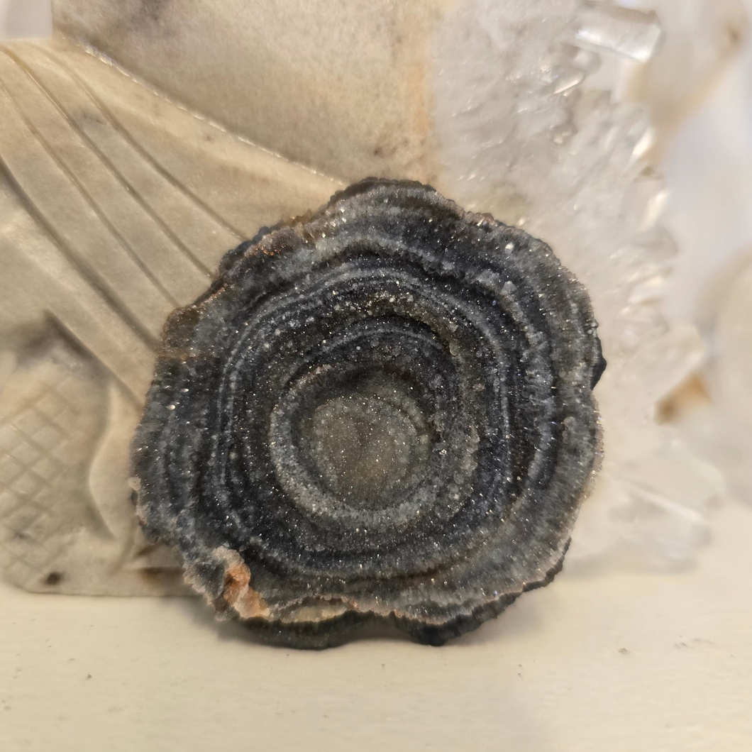 Chalcedony Agate Slice