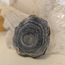 Load image into Gallery viewer, Chalcedony Agate Slice
