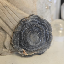 Load image into Gallery viewer, Chalcedony Agate Slice
