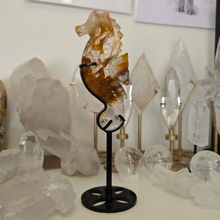 Load image into Gallery viewer, Golden Healer Quartz Seahorse

