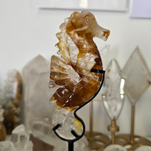 Load image into Gallery viewer, Golden Healer Quartz Seahorse
