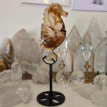 Load image into Gallery viewer, Golden Healer Quartz Seahorse
