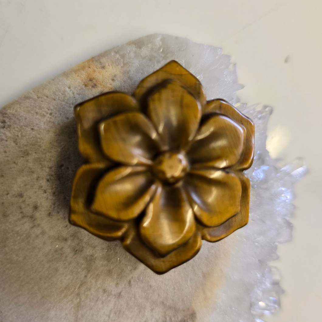 Tiger's Eye Flower