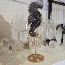 Load image into Gallery viewer, Ocean Jasper Seahorse
