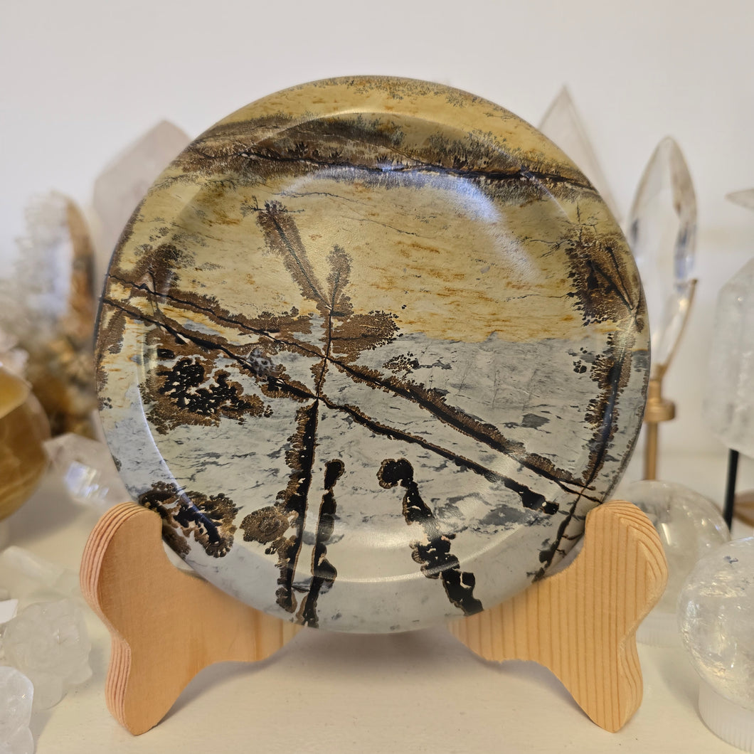 Picture Jasper Plate