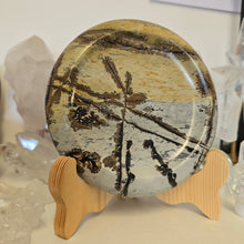 Load image into Gallery viewer, Picture Jasper Plate
