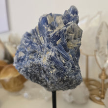Load image into Gallery viewer, Blue Kyanite on Stand
