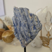 Load image into Gallery viewer, Blue Kyanite on Stand

