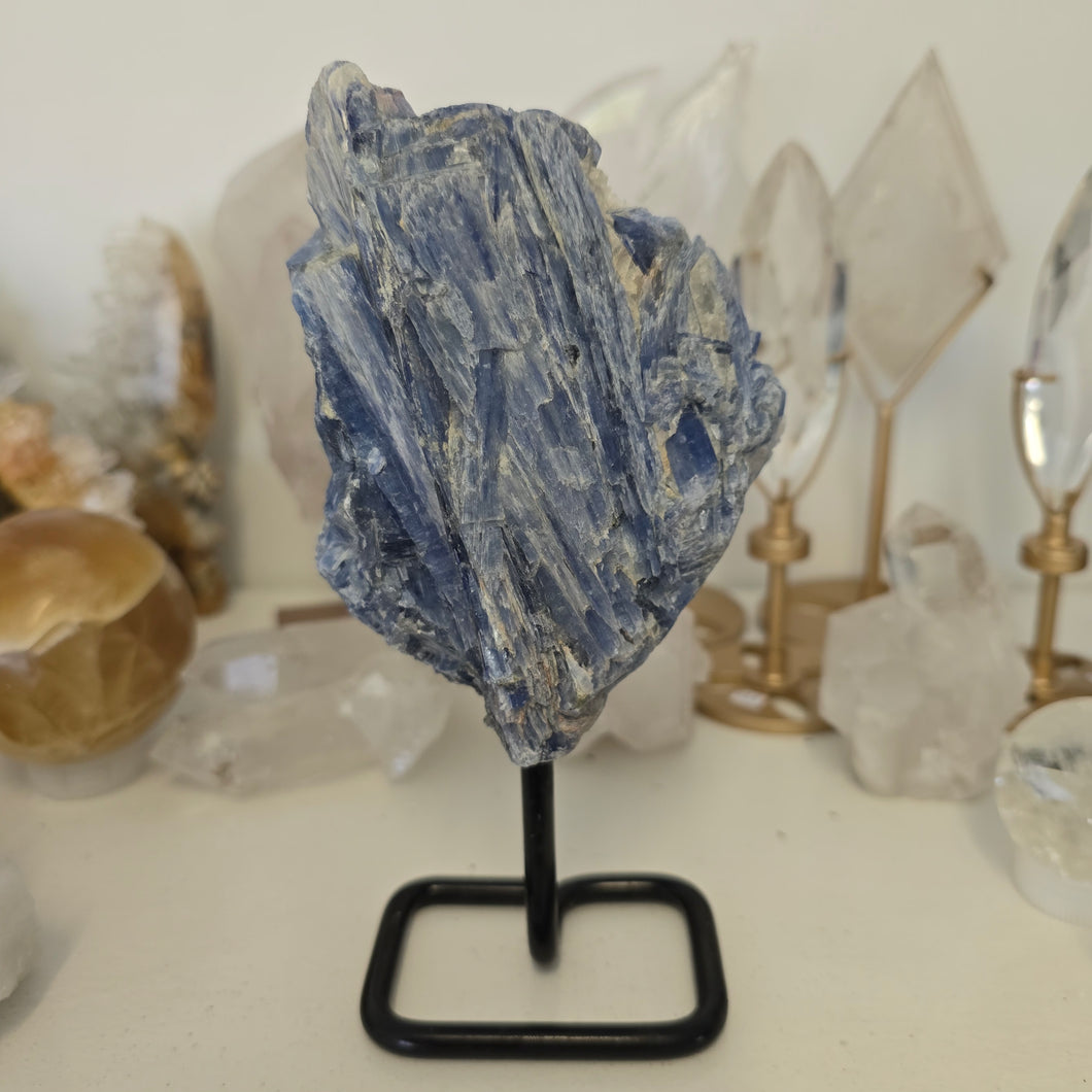 Blue Kyanite on Stand