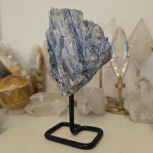 Load image into Gallery viewer, Blue Kyanite on Stand
