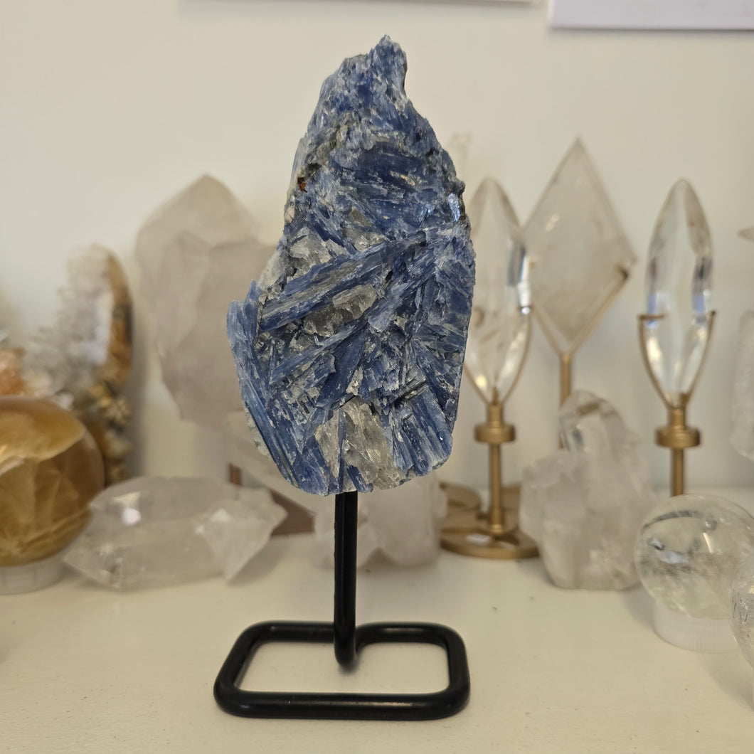 Blue Kyanite on Stand