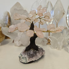 Load image into Gallery viewer, Rose Quartz on Amethyst Bonsai Tree
