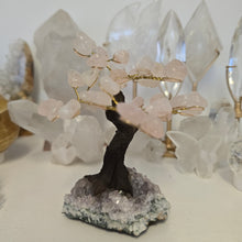 Load image into Gallery viewer, Rose Quartz on Amethyst Bonsai Tree
