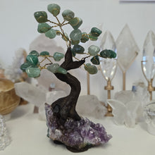 Load image into Gallery viewer, Green Quartz Bonsai Tree on Amethyst Cluster
