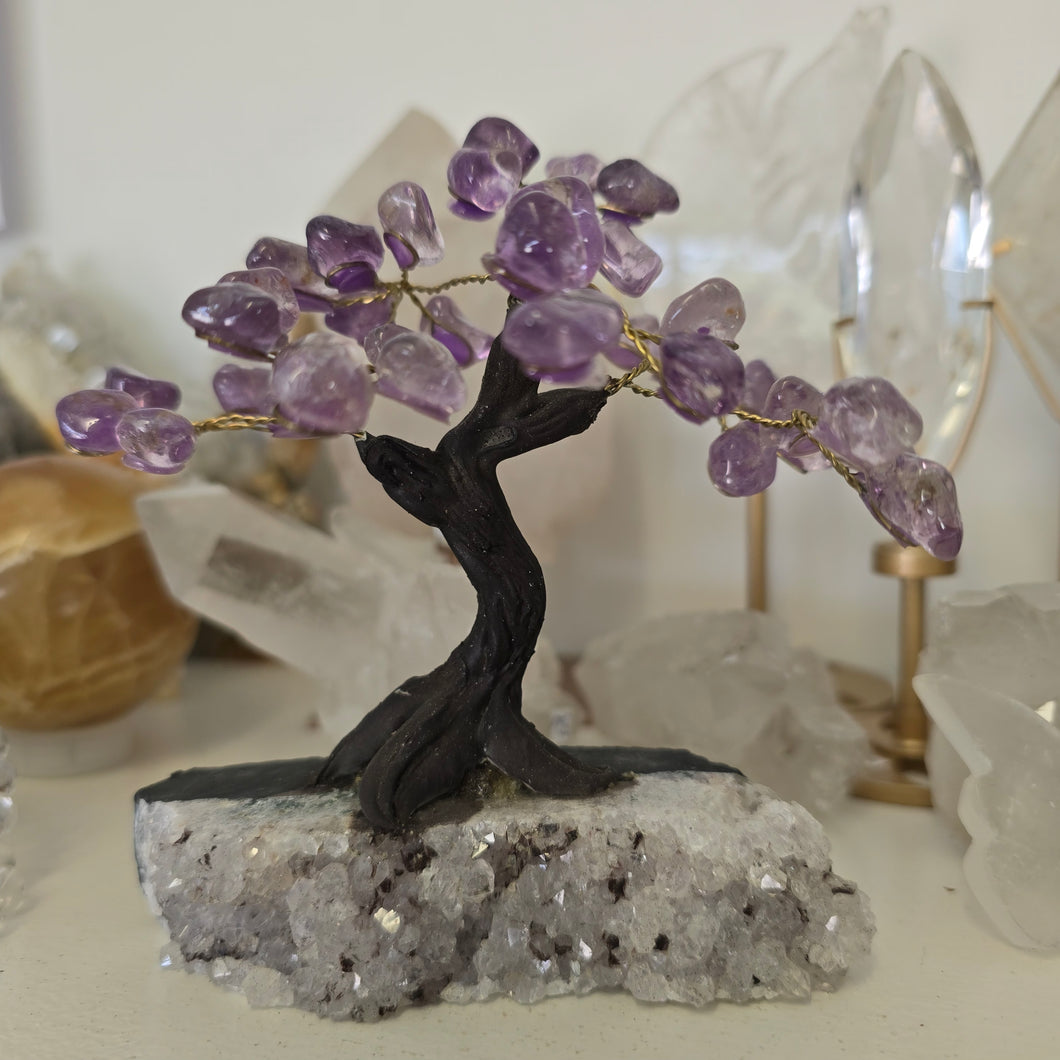 Amethyst Bonsai Tree