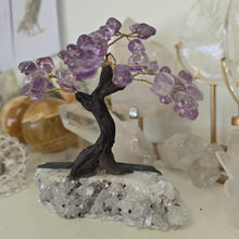 Load image into Gallery viewer, Amethyst Bonsai Tree
