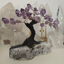 Load image into Gallery viewer, Amethyst Bonsai Tree
