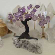 Load image into Gallery viewer, Amethyst Bonsai Tree
