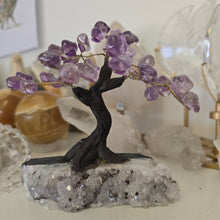 Load image into Gallery viewer, Amethyst Bonsai Tree
