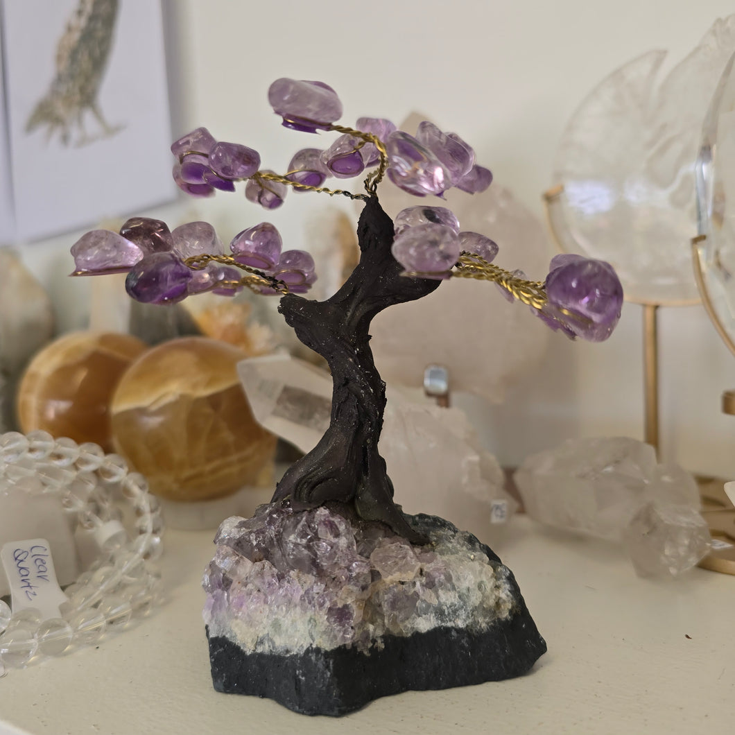 Amethyst Bonsai Tree