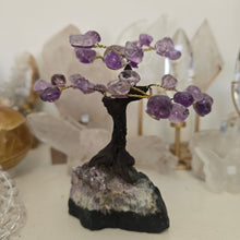 Load image into Gallery viewer, Amethyst Bonsai Tree
