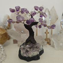 Load image into Gallery viewer, Amethyst Bonsai Tree
