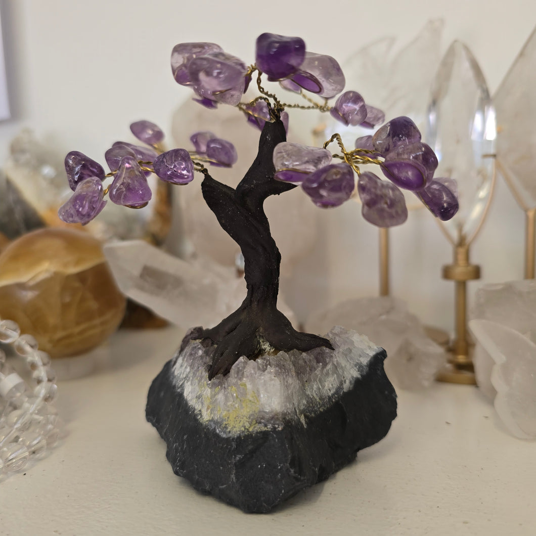Amethyst Bonsai Tree