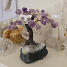 Load image into Gallery viewer, Amethyst Bonsai Tree
