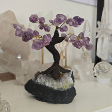 Load image into Gallery viewer, Amethyst Bonsai Tree
