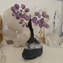 Load image into Gallery viewer, Amethyst Bonsai Tree
