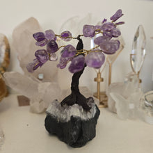 Load image into Gallery viewer, Amethyst Bonsai Tree
