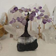 Load image into Gallery viewer, Amethyst Bonsai Tree

