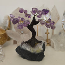 Load image into Gallery viewer, Amethyst Bonsai Tree

