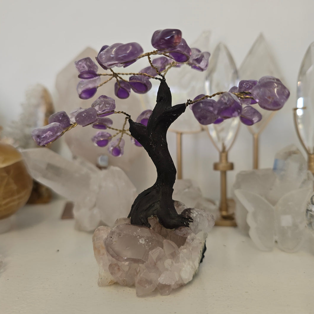 Amethyst Bonsai Tree