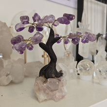 Load image into Gallery viewer, Amethyst Bonsai Tree
