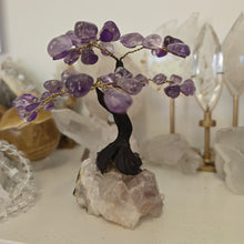 Load image into Gallery viewer, Amethyst Bonsai Tree
